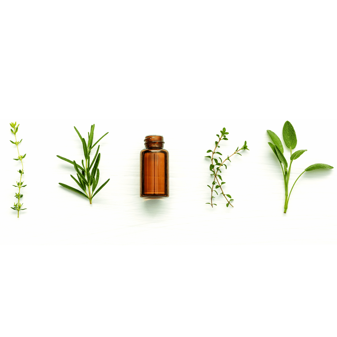 Training - Essential Oils Level One Training Course
